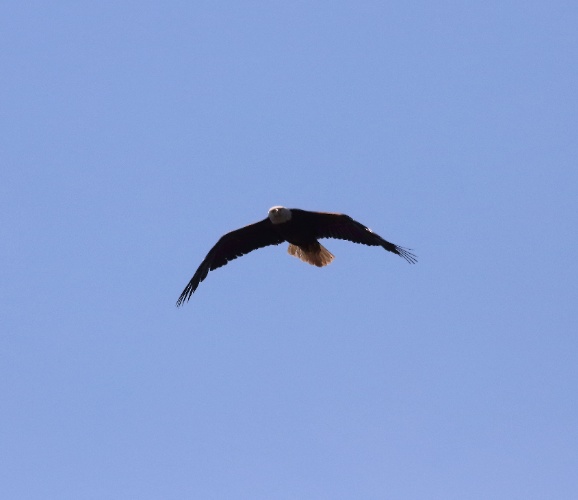 2019 05 08 HTP 90364e